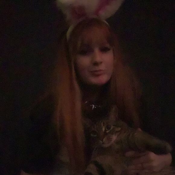 Meet your Posher, Riley - Picture 1 of 1